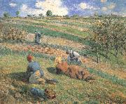 Camille Pissarro Field work Germany oil painting artist